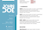 worldofresumes net swiss cv template example